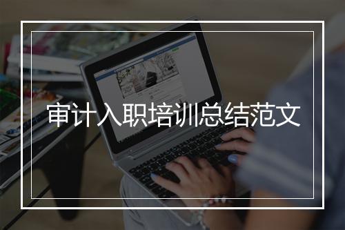 审计入职培训总结范文