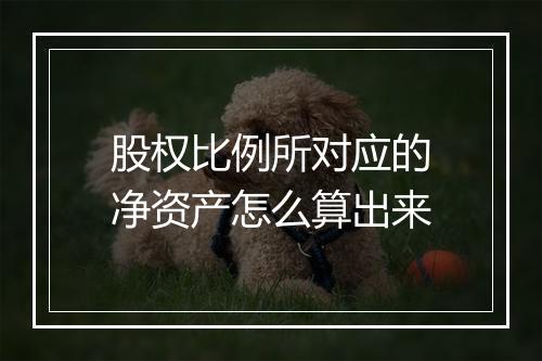 股权比例所对应的净资产怎么算出来