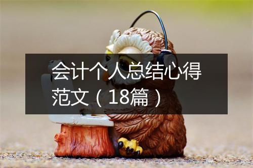 会计个人总结心得范文（18篇）