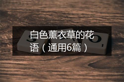 白色薰衣草的花语（通用6篇）