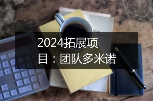 2024拓展项目：团队多米诺