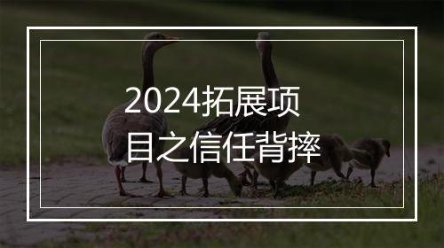 2024拓展项目之信任背摔