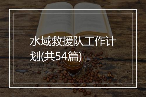水域救援队工作计划(共54篇)