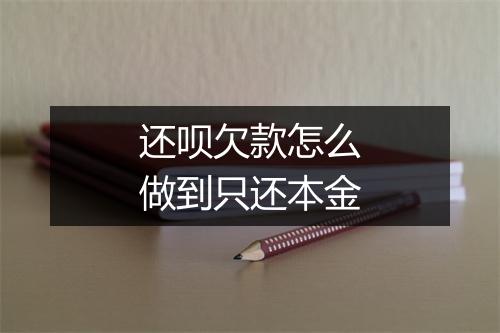 还呗欠款怎么做到只还本金