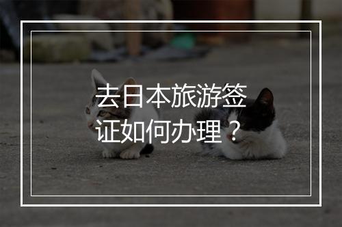 去日本旅游签证如何办理？