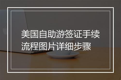 美国自助游签证手续流程图片详细步骤