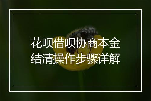 花呗借呗协商本金结清操作步骤详解
