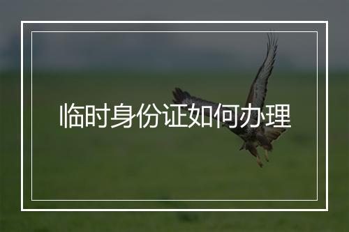临时身份证如何办理