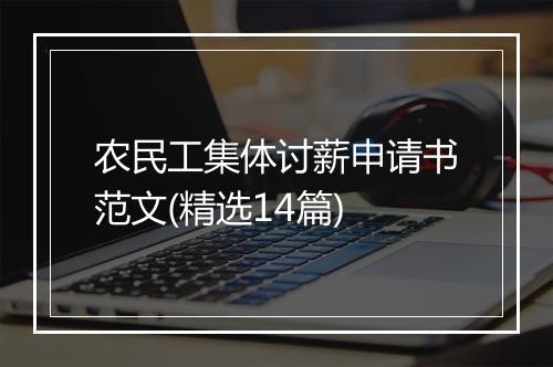农民工集体讨薪申请书范文(精选14篇)