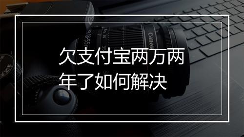 欠支付宝两万两年了如何解决