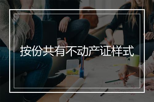 按份共有不动产证样式