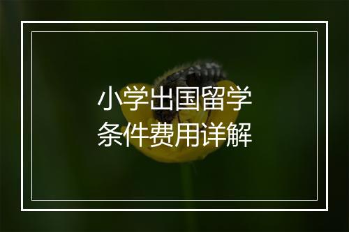 小学出国留学条件费用详解