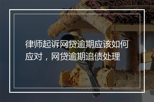 律师起诉网贷逾期应该如何应对，网贷逾期追债处理
