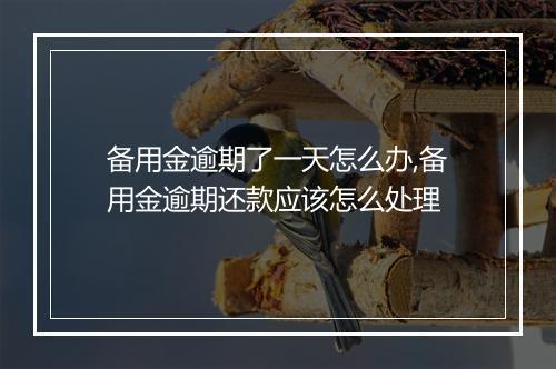 备用金逾期了一天怎么办,备用金逾期还款应该怎么处理