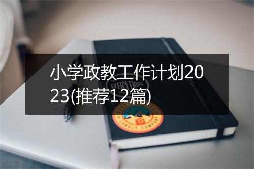 小学政教工作计划2023(推荐12篇)