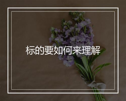 标的要如何来理解