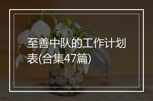 至善中队的工作计划表(合集47篇)