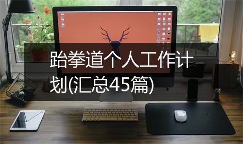 跆拳道个人工作计划(汇总45篇)