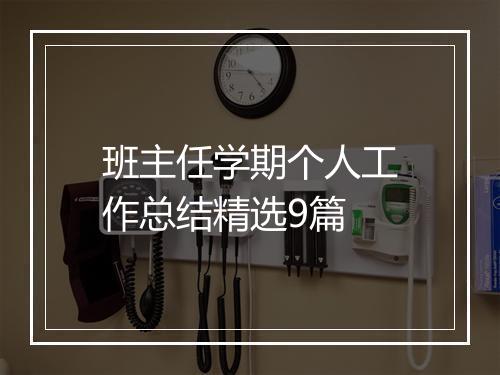 班主任学期个人工作总结精选9篇