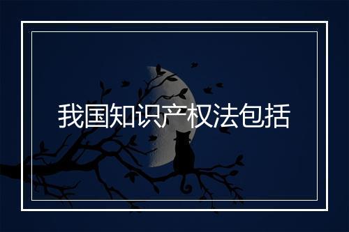 我国知识产权法包括