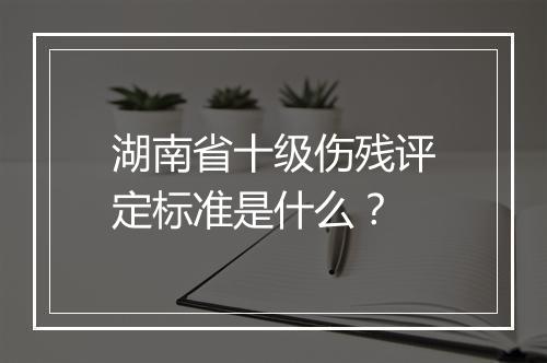 湖南省十级伤残评定标准是什么？