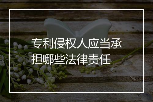 专利侵权人应当承担哪些法律责任
