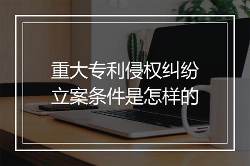 重大专利侵权纠纷立案条件是怎样的