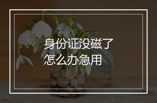 身份证没磁了怎么办急用