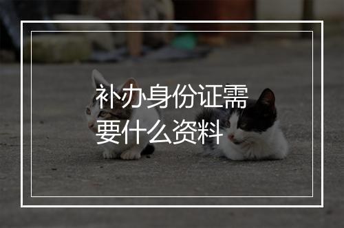 补办身份证需要什么资料