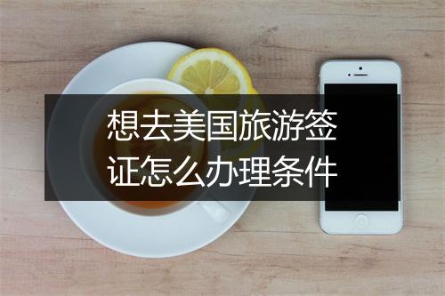 想去美国旅游签证怎么办理条件