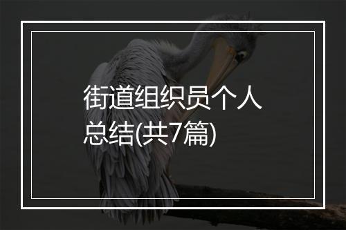 街道组织员个人总结(共7篇)