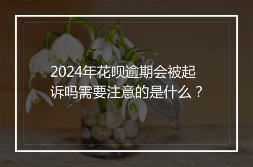 2024年花呗逾期会被起诉吗需要注意的是什么？