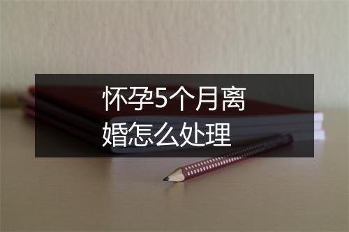 怀孕5个月离婚怎么处理