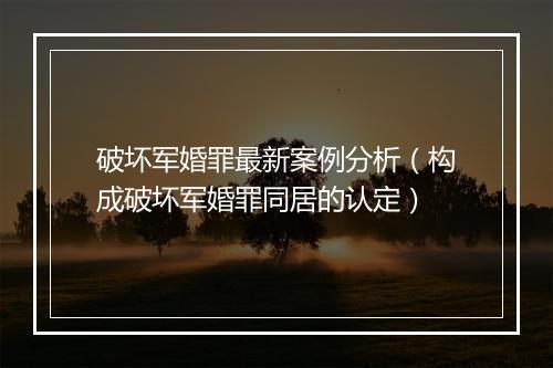 破坏军婚罪最新案例分析（构成破坏军婚罪同居的认定）