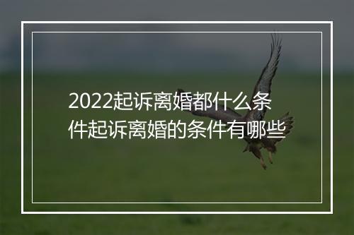 2022起诉离婚都什么条件起诉离婚的条件有哪些