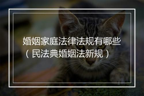 婚姻家庭法律法规有哪些（民法典婚姻法新规）