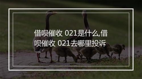借呗催收 021是什么,借呗催收 021去哪里投诉