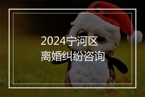 2024宁河区离婚纠纷咨询