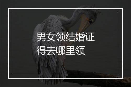 男女领结婚证得去哪里领