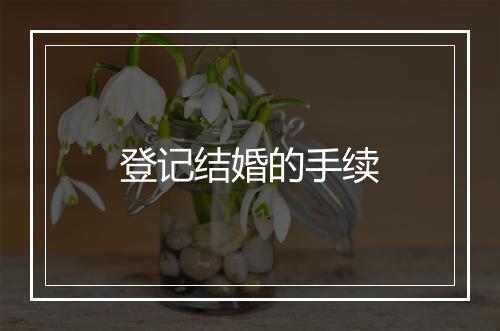 登记结婚的手续