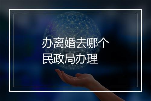 办离婚去哪个民政局办理