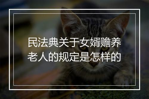 民法典关于女婿赡养老人的规定是怎样的