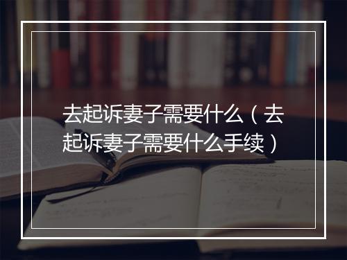 去起诉妻子需要什么（去起诉妻子需要什么手续）
