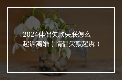 2024伴侣欠款失联怎么起诉离婚（情侣欠款起诉）