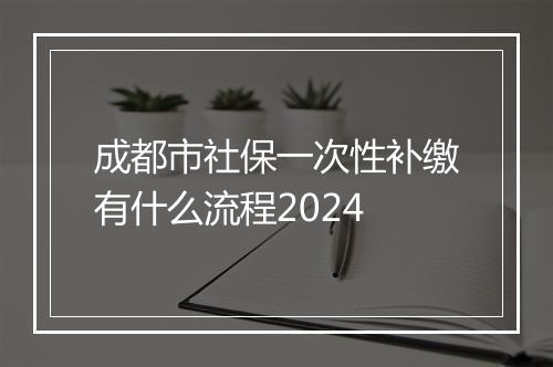 成都市社保一次性补缴有什么流程2024