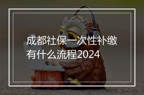 成都社保一次性补缴有什么流程2024