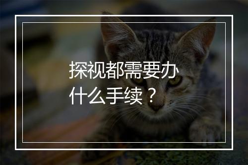 探视都需要办什么手续？