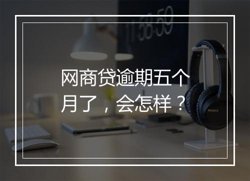 网商贷逾期五个月了，会怎样？