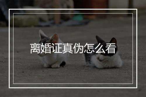 离婚证真伪怎么看