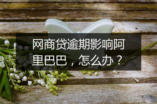 网商贷逾期影响阿里巴巴，怎么办？